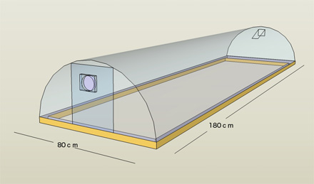 換気扇付きのビニールトンネル_c0063348_1182353.jpg