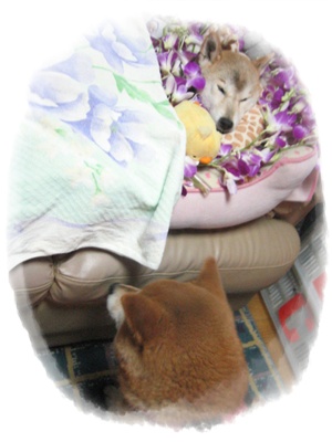 1年が経って_c0049950_163857100.jpg