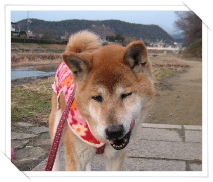 1年が経って_c0049950_16472175.jpg