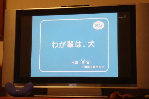 わが輩は犬っ わが輩は犬っ 匠ですから わが輩は犬っ わが輩は犬っ 匠ですから