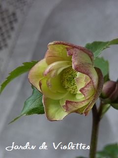 e0118257_17553681.jpg