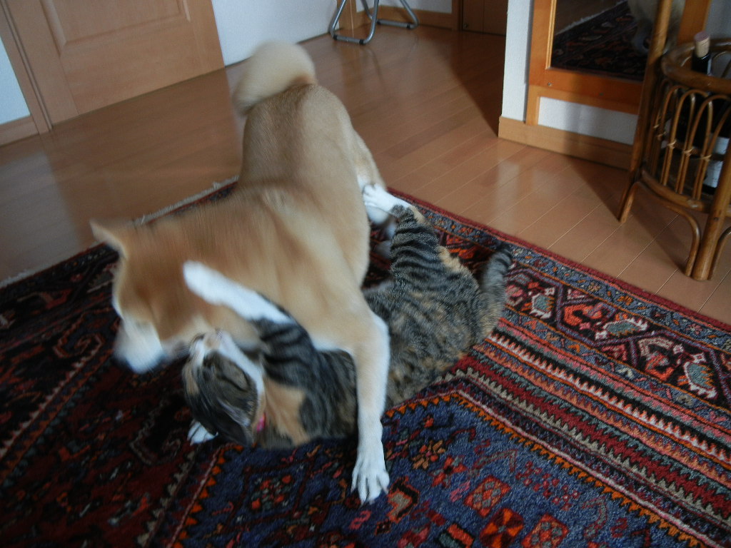 2011年1月20日(木)真冬の出来事!_f0060461_9565932.jpg