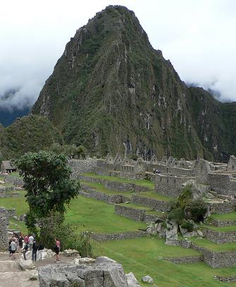 ペルー旅行（3日目マチュピチュ）Tip to Peru(3rd day)Machu Picchu_b0127870_20392131.jpg