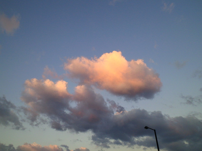 c0001670_20342862.jpg