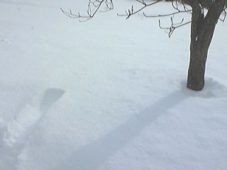 e0118274_2202759.jpg