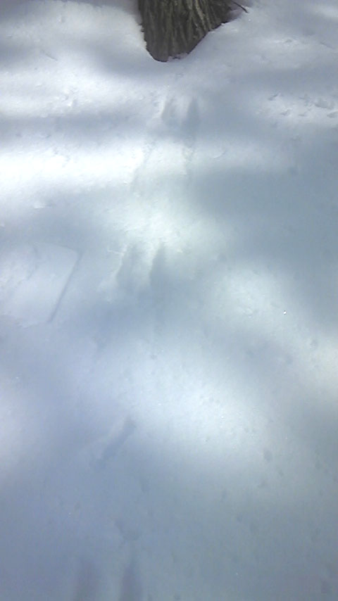 e0118274_2284058.jpg
