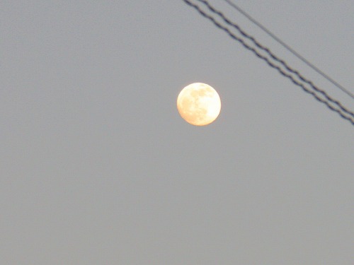 満月が見えました_f0099781_20543348.jpg