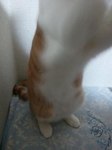 保険♪_f0202682_134866.jpg