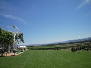f0057284_2158836.jpg