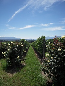f0057284_2263921.jpg