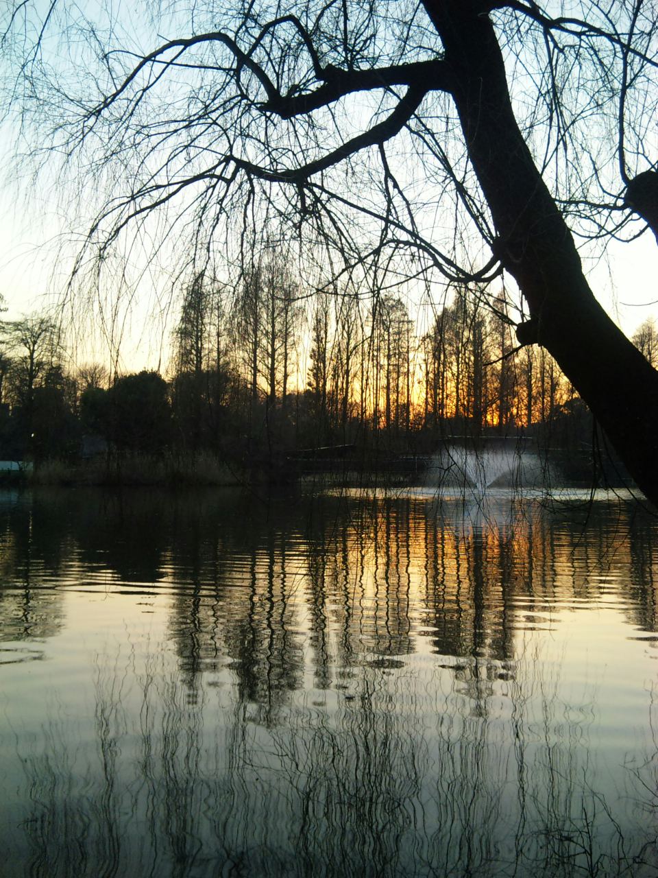 c0180885_2313342.jpg