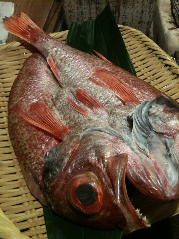 のどぐろ_b0162386_4212110.jpg