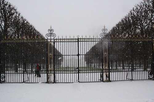 パリ散歩（雪のリュクサンブール公園）_b0178388_1164278.jpg