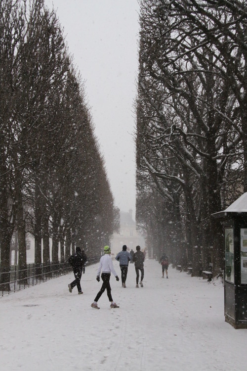 パリ散歩（雪のリュクサンブール公園）_b0178388_1171599.jpg