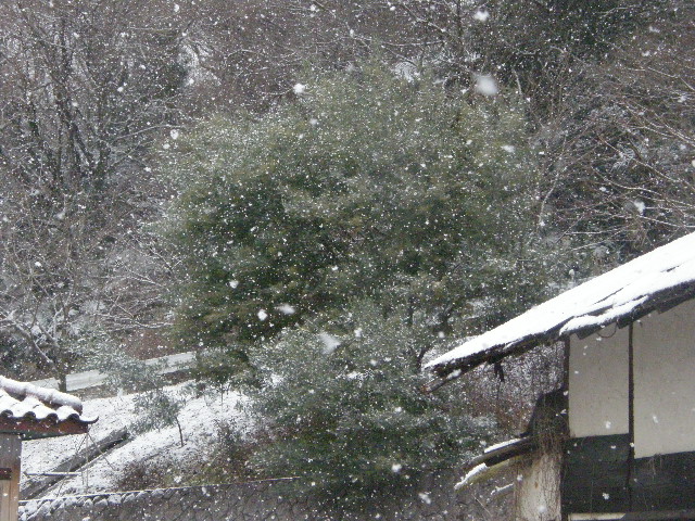 c0108198_16264474.jpg