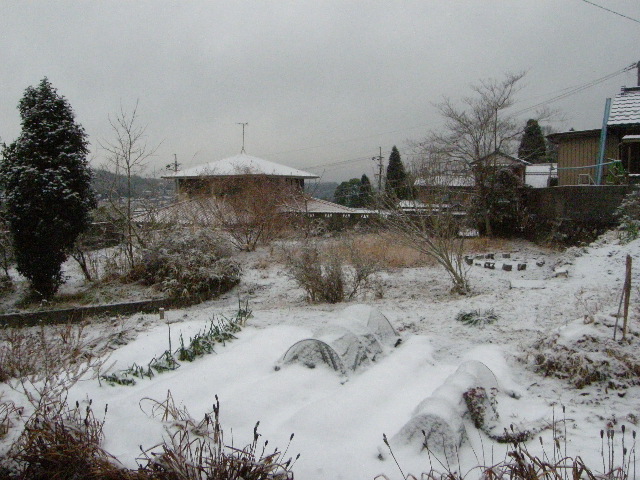 c0108198_1629251.jpg