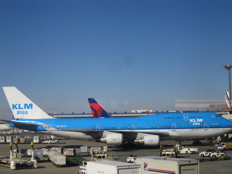 d0131698_1411842.jpg