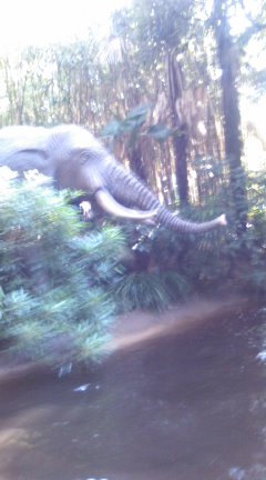 明けまして一発目は_d0153198_12334798.jpg