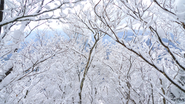 高見山『樹氷登山』2011_f0169998_12493954.jpg