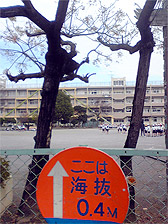 c0044700_1614923.jpg