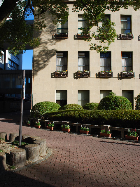 静岡県庁本館(昭和モダン建築探訪)_f0142606_8382749.jpg