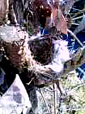 b0028109_16342999.jpg