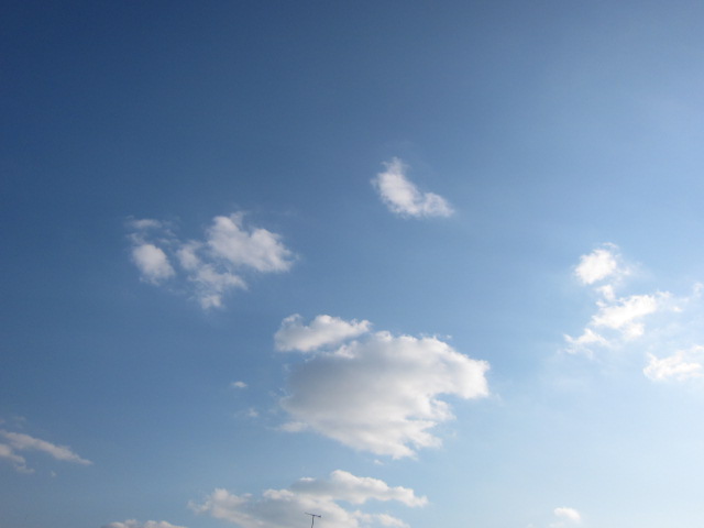 d0150309_19425151.jpg