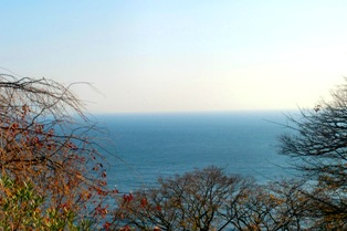 f0236311_17332941.jpg