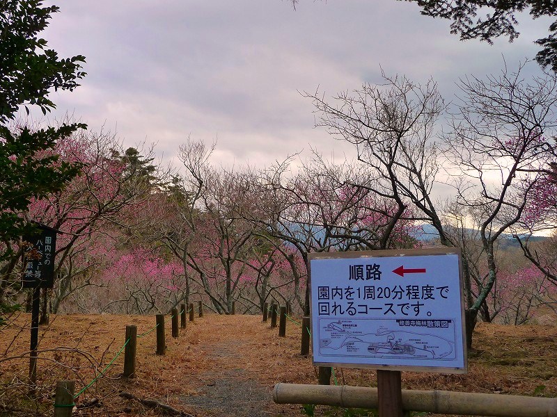 f0182513_23395540.jpg