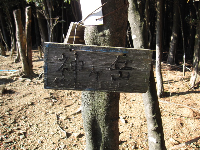 遭難か？_c0178815_7345657.jpg