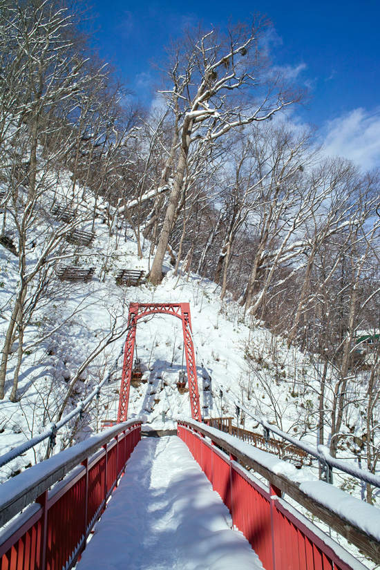 定山渓雪景色(3)　～　豊平川の渓谷美　～_c0223825_1414318.jpg