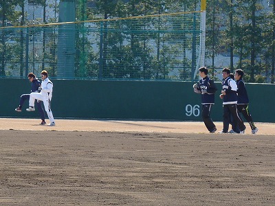 ロッテ自主トレ(1月19日)・・・ここにも茶トラ_b0166128_19343584.jpg