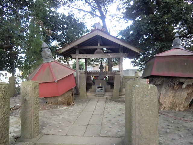 a0006033_15542250.jpg