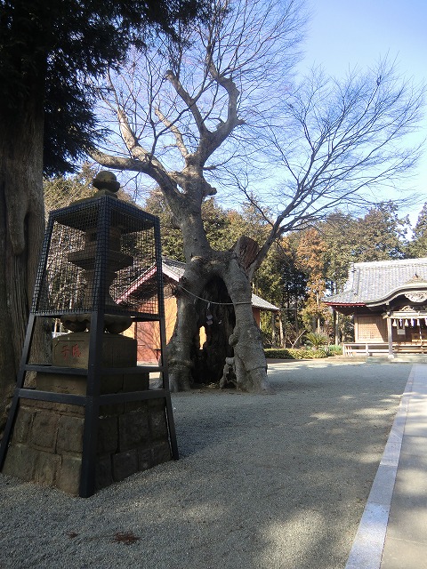 a0006033_1555992.jpg