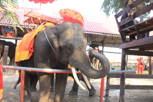 タイ旅行の思い出のベストショット? 1_d0055236_18445736.jpg