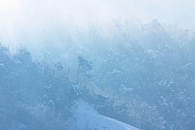 雪あがる_c0067040_210182.jpg