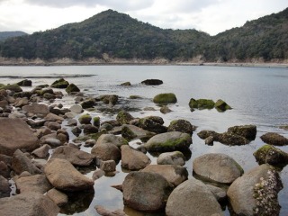 e0110940_1105083.jpg