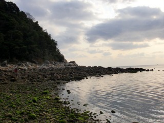 e0110940_1111176.jpg