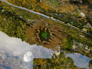 e0110940_1143694.jpg