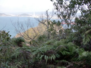e0110940_164911.jpg