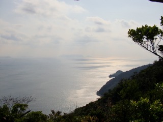 e0110940_172922.jpg