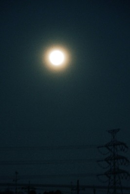 c0214345_1794546.jpg