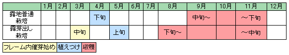 e0082956_64251.jpg