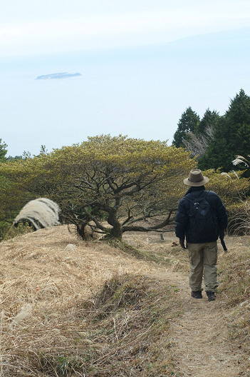 箱根・十国峠_a0084757_18344857.jpg