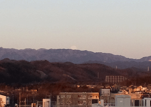 b0101263_13373368.gif