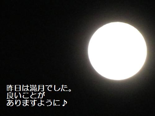 c0108366_16571738.jpg