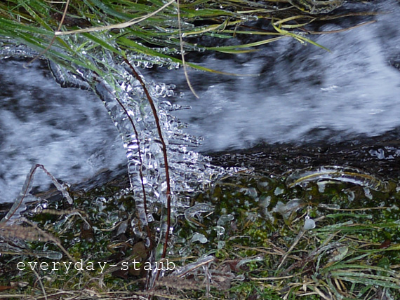 c0132466_20374790.jpg