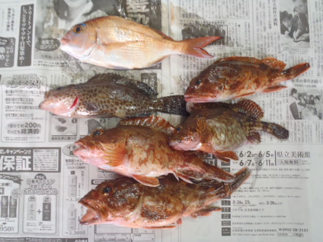 久しぶりのお魚ちゃん_a0077071_1884781.jpg