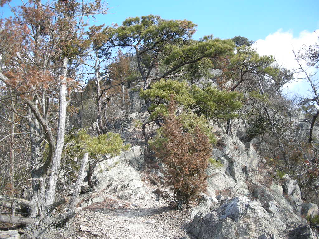 b0185573_76213.jpg