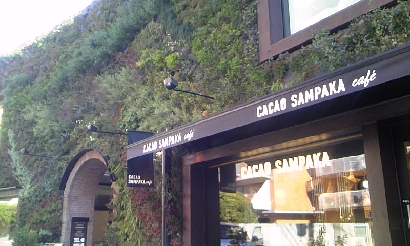 e0212073_8551868.jpg